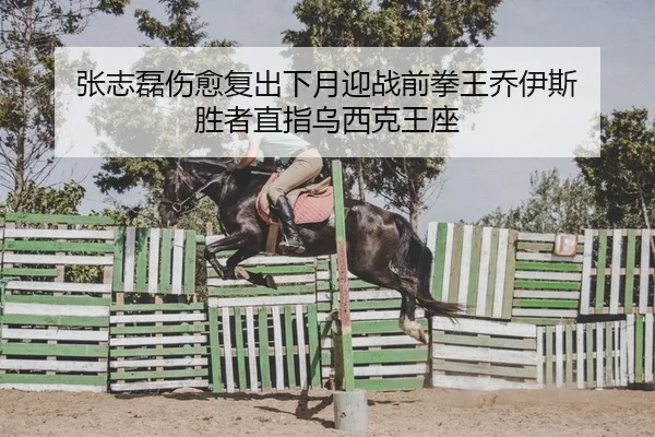 张志磊伤愈复出下月迎战前拳王乔伊斯 胜者直指乌西克王座